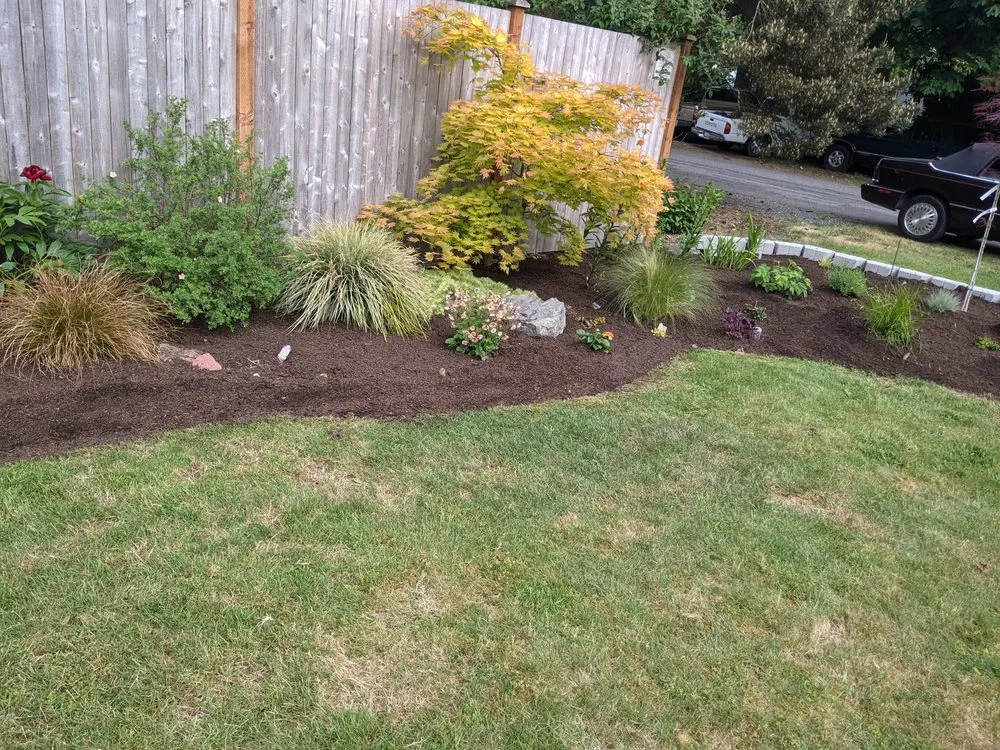 Reliable lawn care service experts serving Lynnwood, WA - Ecomecos Landscaping