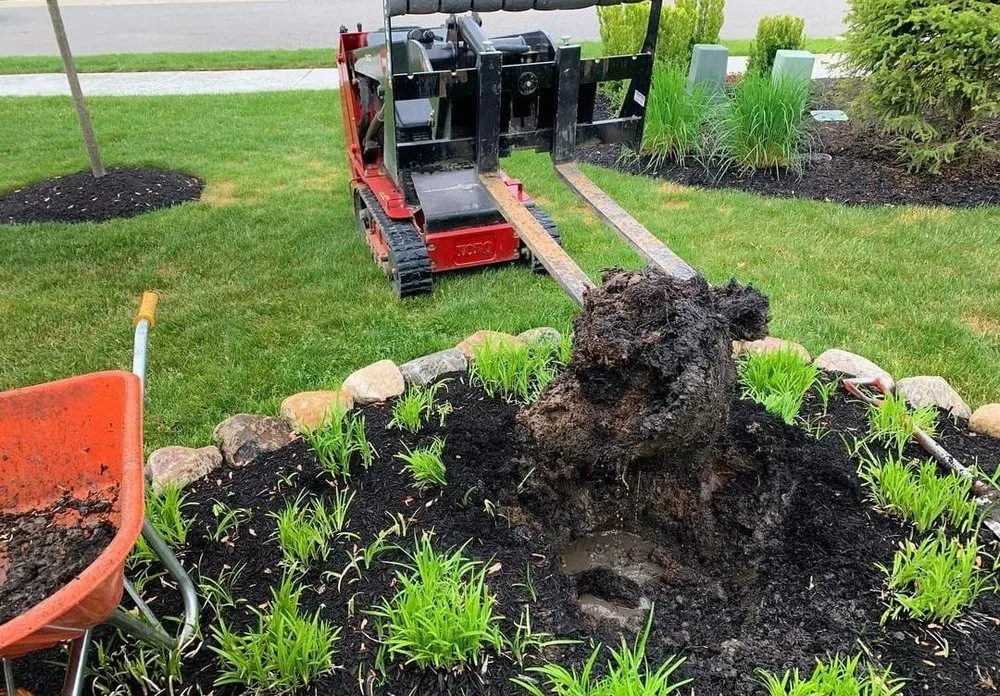 Reliable residential landscaping experts serving Lynnwood, WA - Ecomecos Landscaping