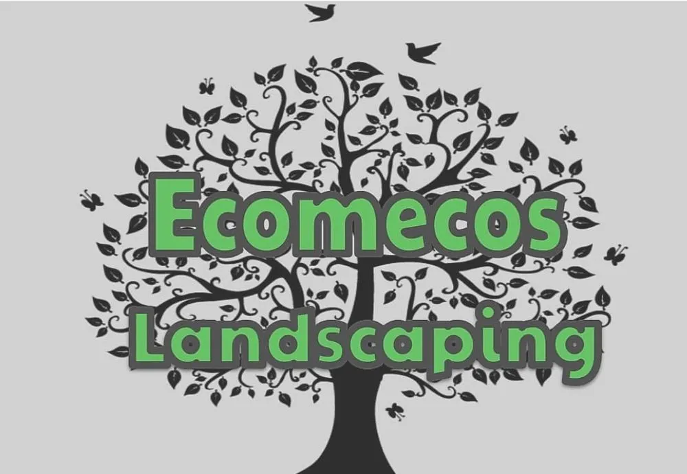 Affordable lawn care service in Lynnwood, WA - Ecomecos Landscaping