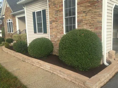 Top-rated outdoor landscaping experts serving Lynnwood, WA - Ecomecos Landscaping