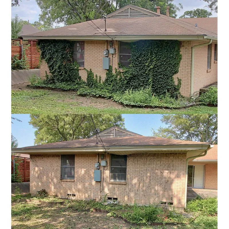 Trusted yard cleanup service with custom design across Dallas, TX - EcoMow Lawn & Landscape