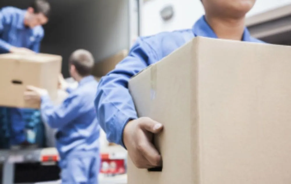 Trusted yard maintenance in Wilmington, OH - Econ-O-Transport Moving & Storage