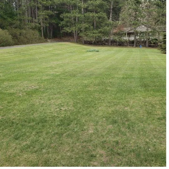 Custom yard maintenance experts serving Chippewa Falls, WI - Econolawn