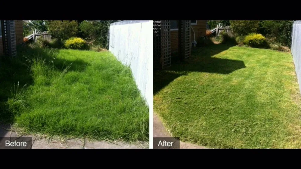 Custom outdoor landscaping in Virginia Beach, VA - Economic Mowing