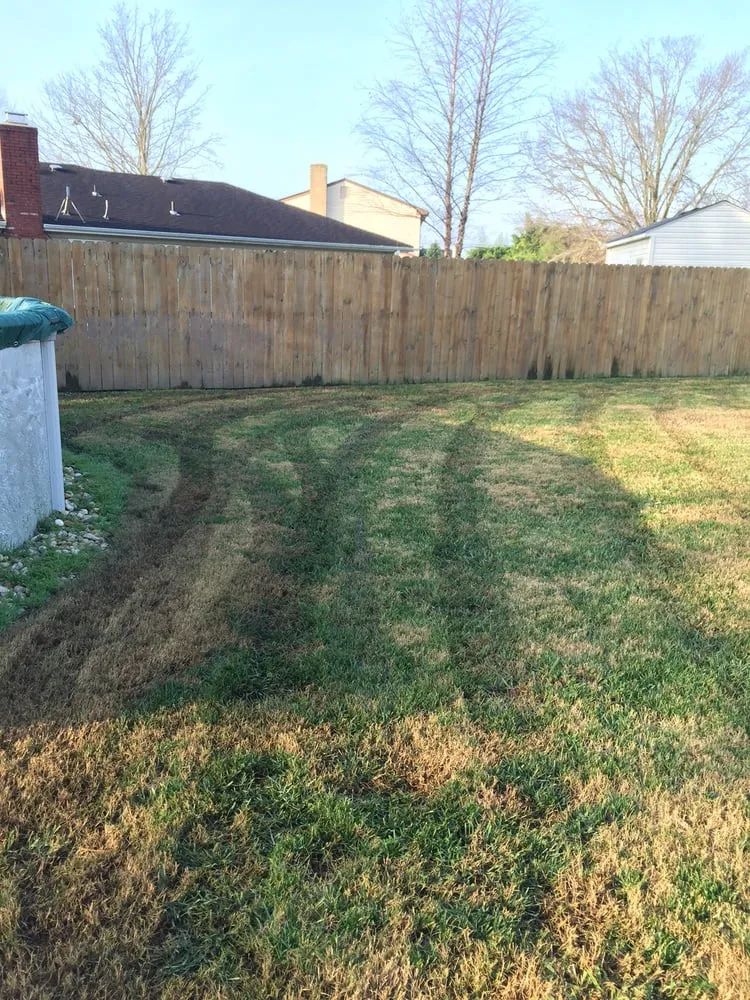 Affordable yard cleanup service for residential properties in Virginia Beach, VA by Economic Mowing