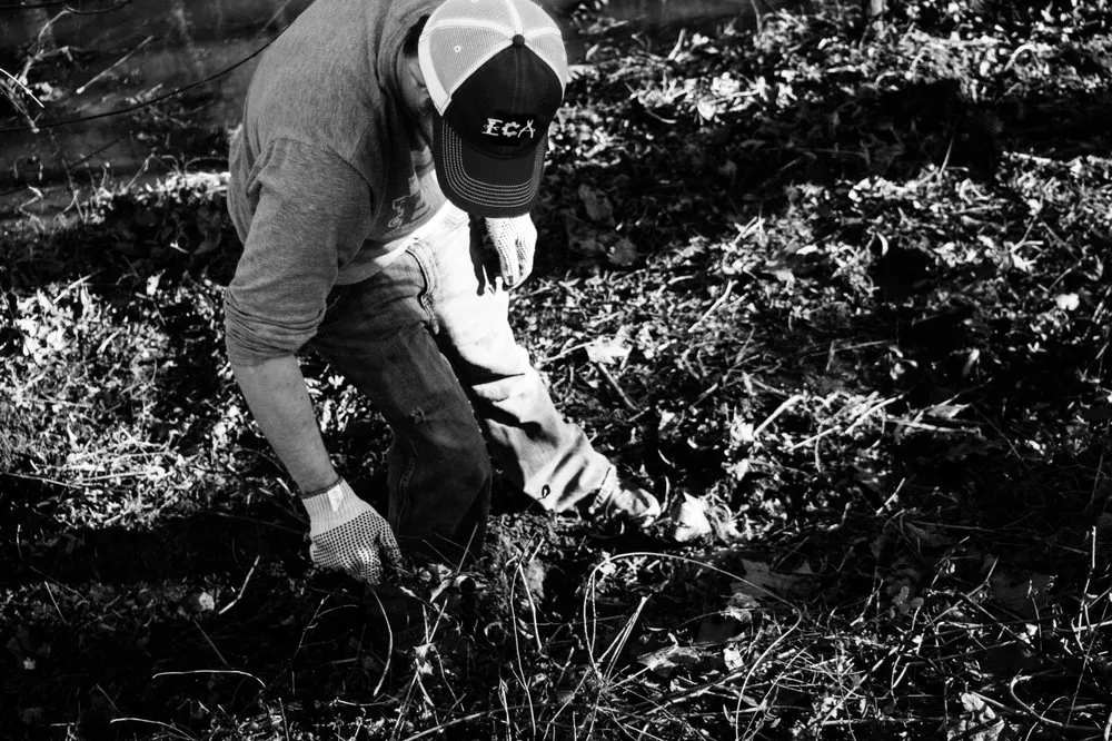 Expert landscape design experts serving Bryant, AR - Economy Care Assemblers