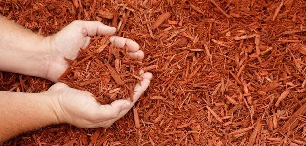 Custom residential landscaping for outdoor upgrades in Minooka, IL by Economy Commercial Landscaping