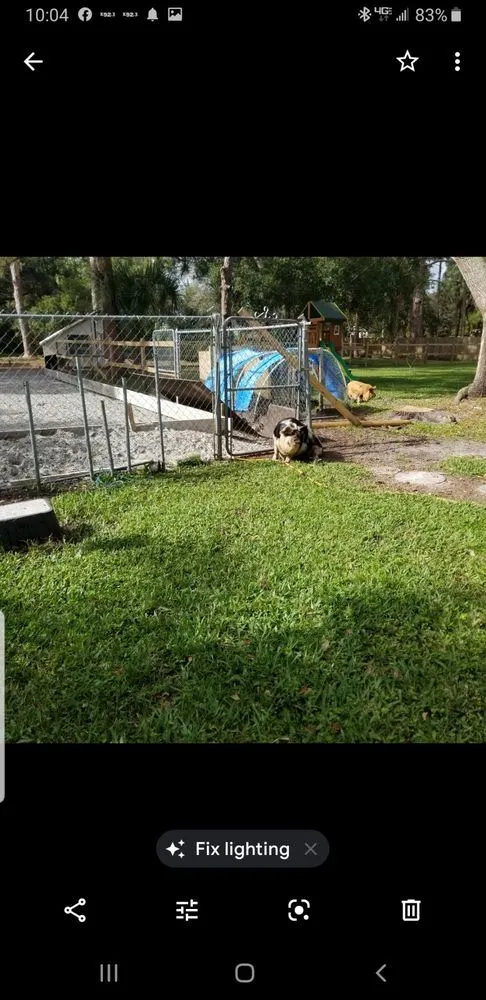 Trusted landscaping services experts serving Palm Bay, FL - Economy Cut Lawn Care