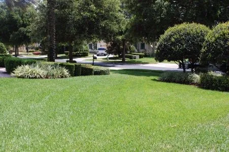 Professional outdoor landscaping experts serving Palm Bay, FL - Economy Cut Lawn Care