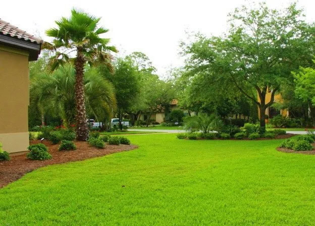 Professional garden landscaping with custom design in Palm Bay, FL by Economy Cut Lawn Care