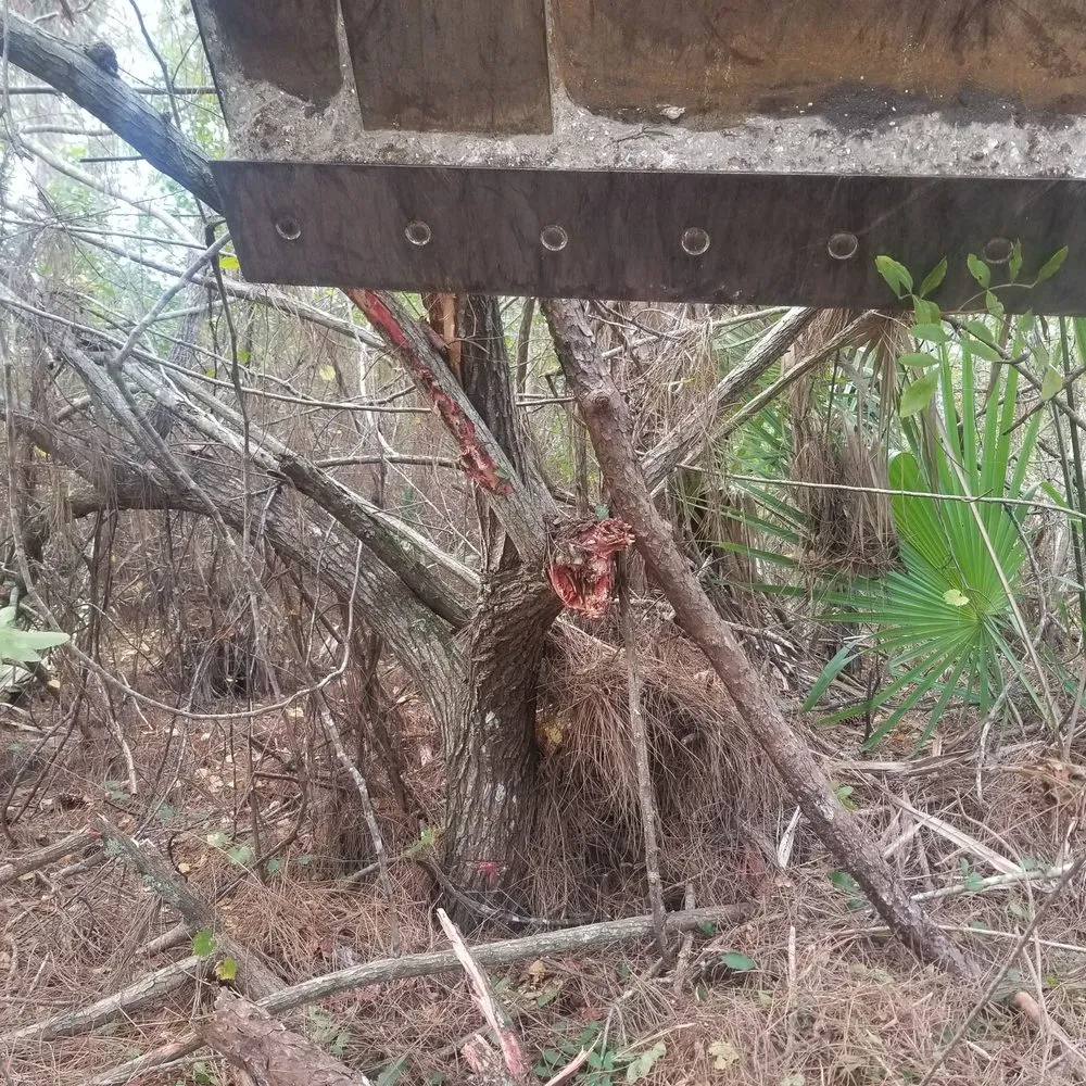 Trusted garden landscaping for year-round maintenance across Palm Bay, FL - Economy Cut Lawn Care