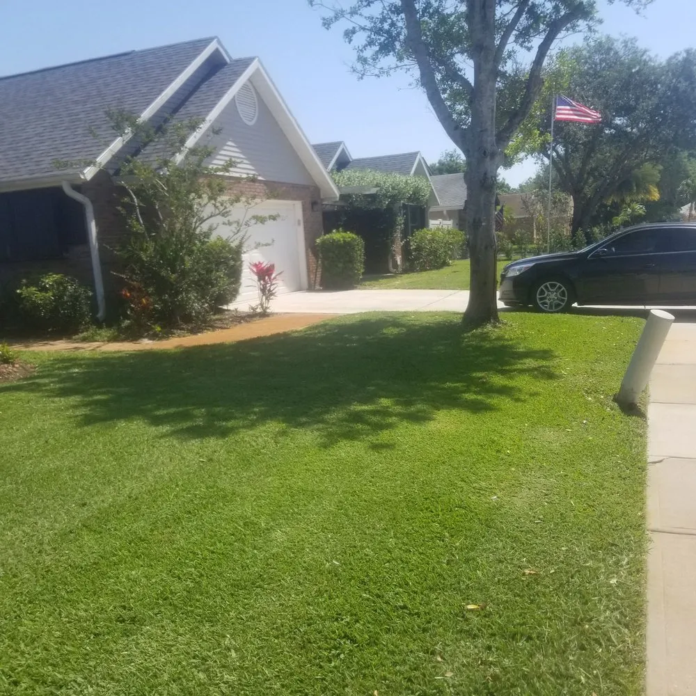 Custom yard cleanup service experts serving Palm Bay, FL - Economy Cut Lawn Care