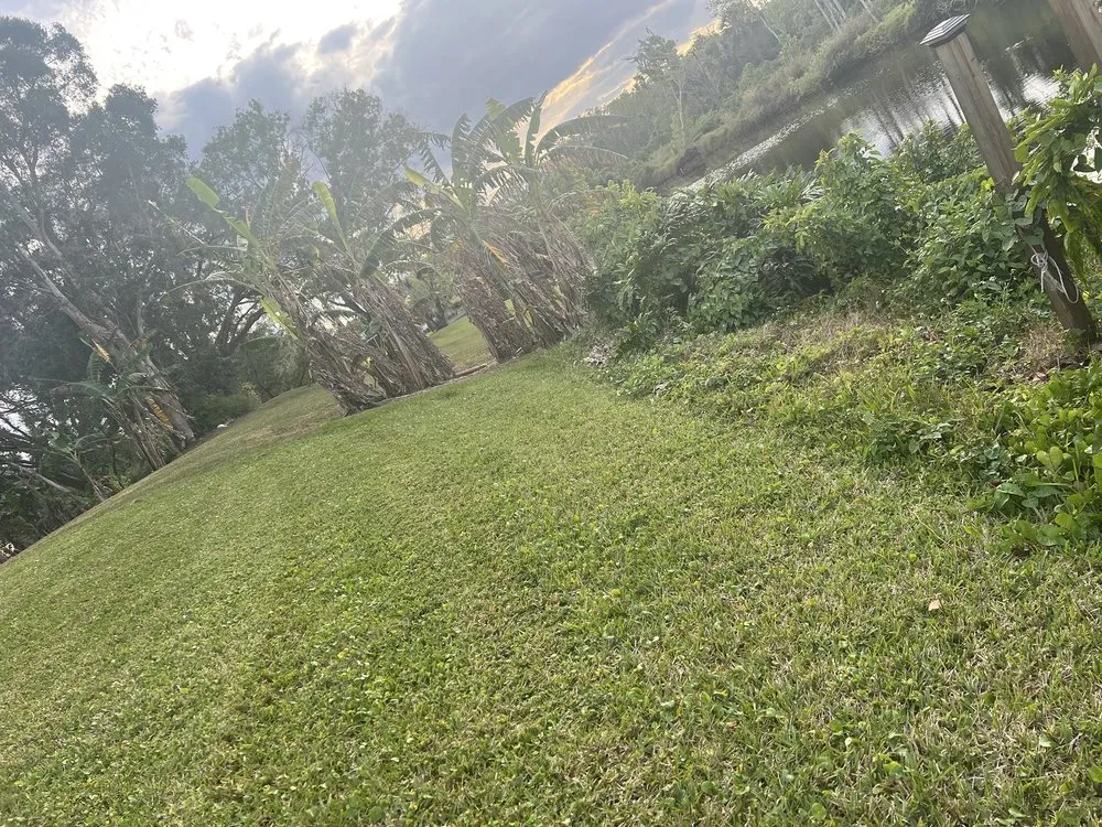 Expert landscape design for outdoor upgrades across Palm Bay, FL - Economy Cut Lawn Care