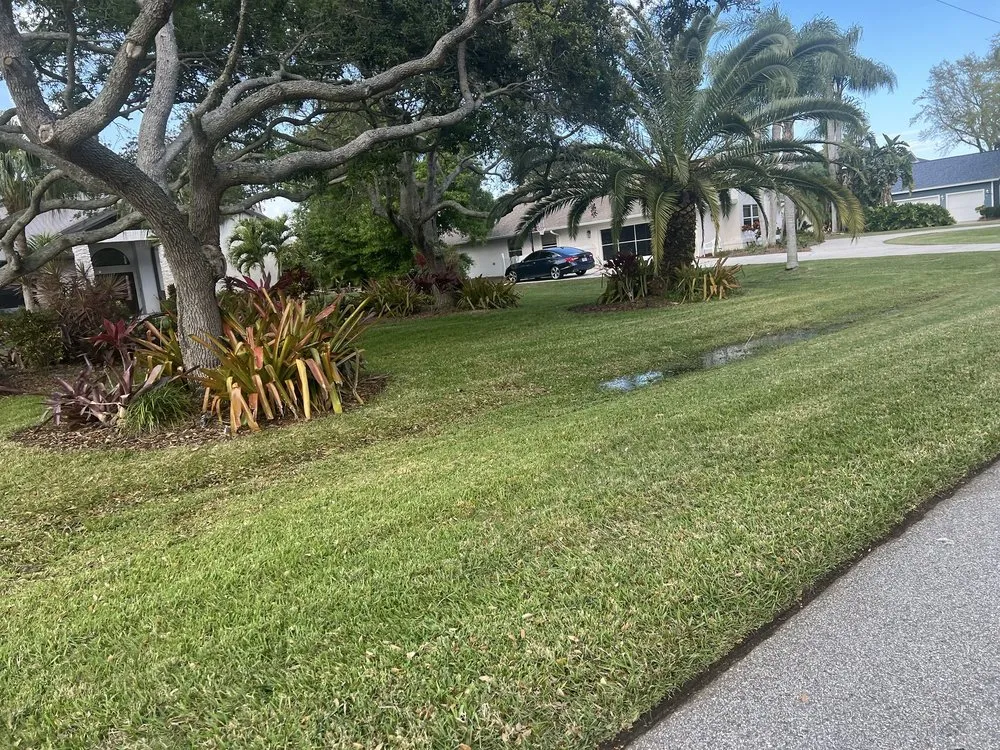 Trusted landscape design for outdoor upgrades in Palm Bay, FL by Economy Cut Lawn Care