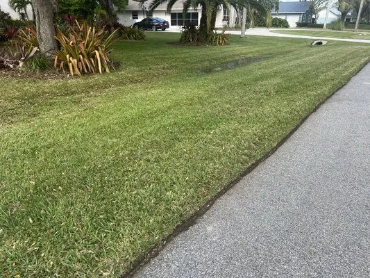 Economy Cut Lawn Care