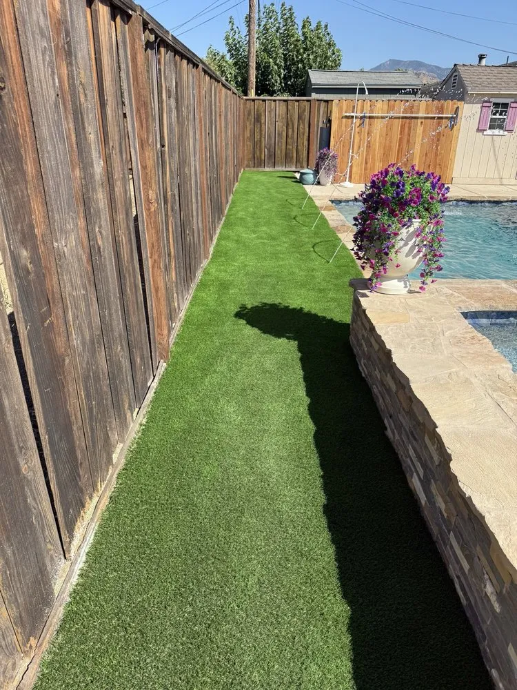 Reliable lawn care service in Oakland, CA by Economy Grass Systems