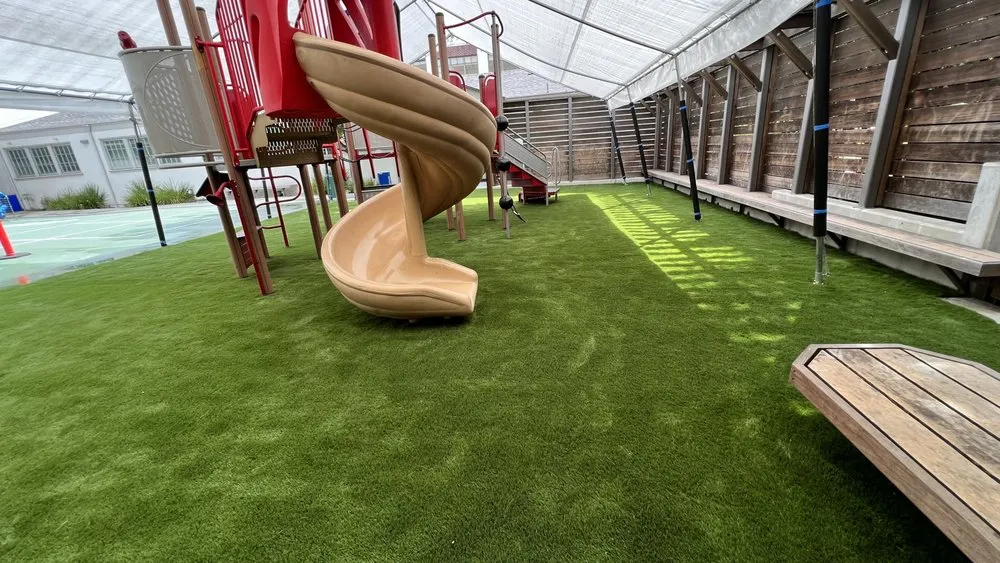 Reliable lawn mowing service in Oakland, CA by Economy Grass Systems