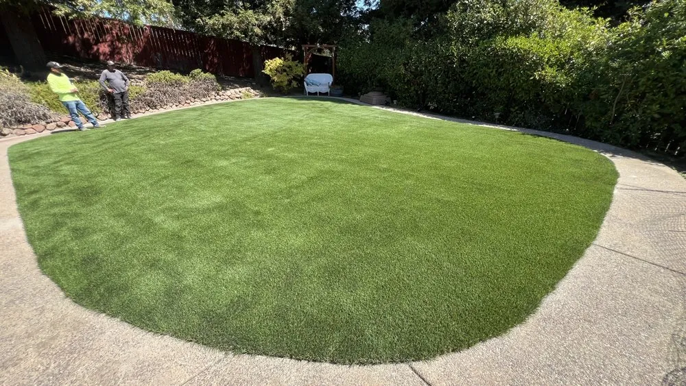 Top-rated outdoor landscaping for outdoor upgrades across Oakland, CA - Economy Grass Systems