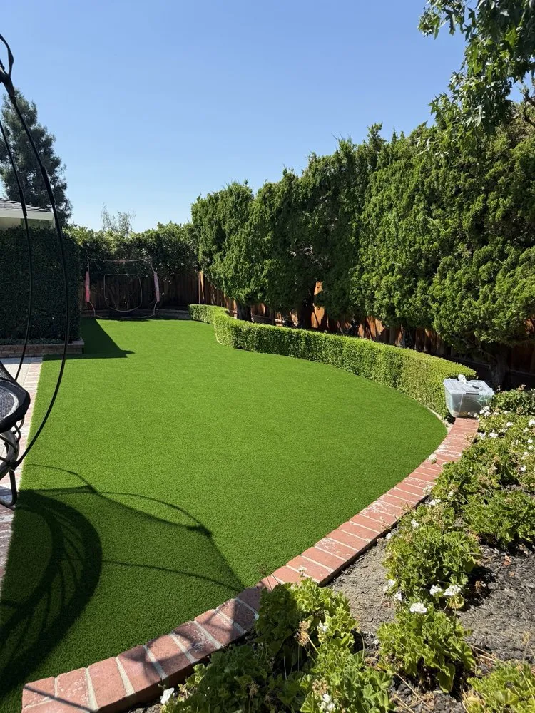 Trusted yard maintenance in Oakland, CA - Economy Grass Systems