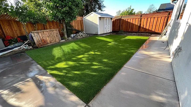 Reliable yard cleanup service experts serving Oakland, CA - Economy Grass Systems