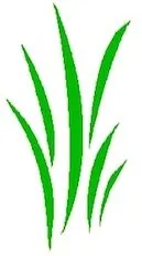 Local garden landscaping for year-round maintenance across Seattle, WA - Economy Landscaping