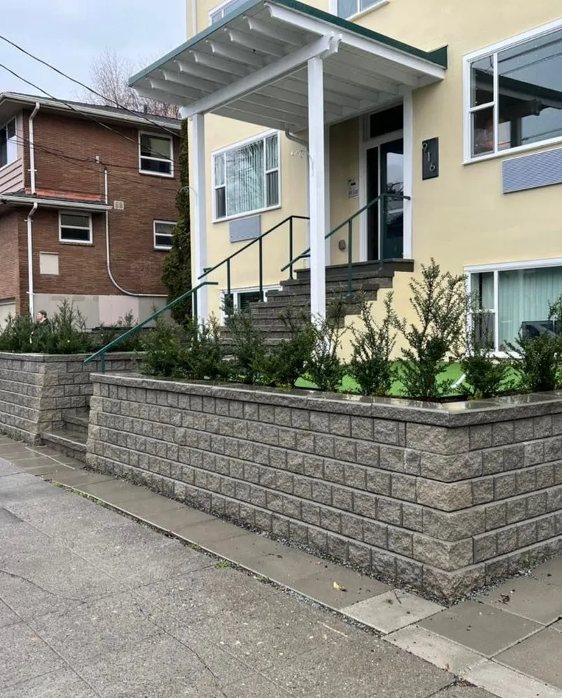 Trusted yard cleanup service in Seattle, WA - Economy Landscaping