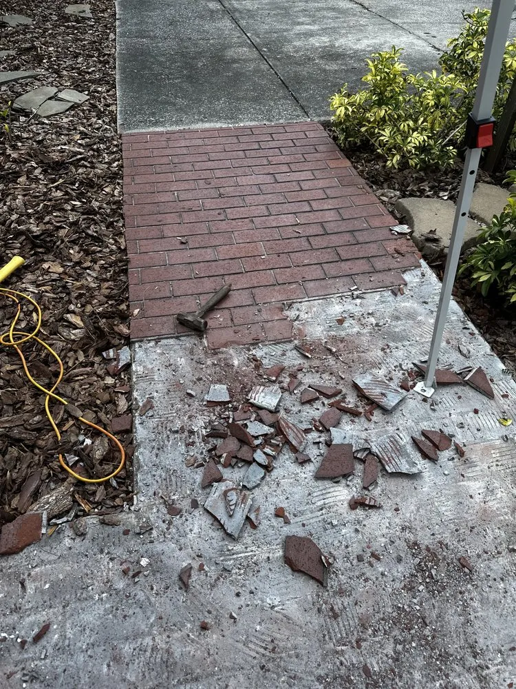 Local residential landscaping experts serving Tampa, FL - Economy Landscaping
