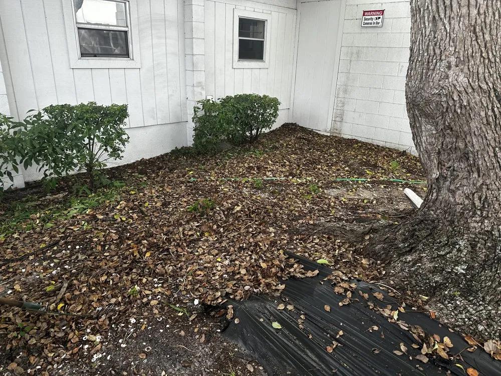 Affordable residential landscaping near you in Tampa, FL by Economy Landscaping