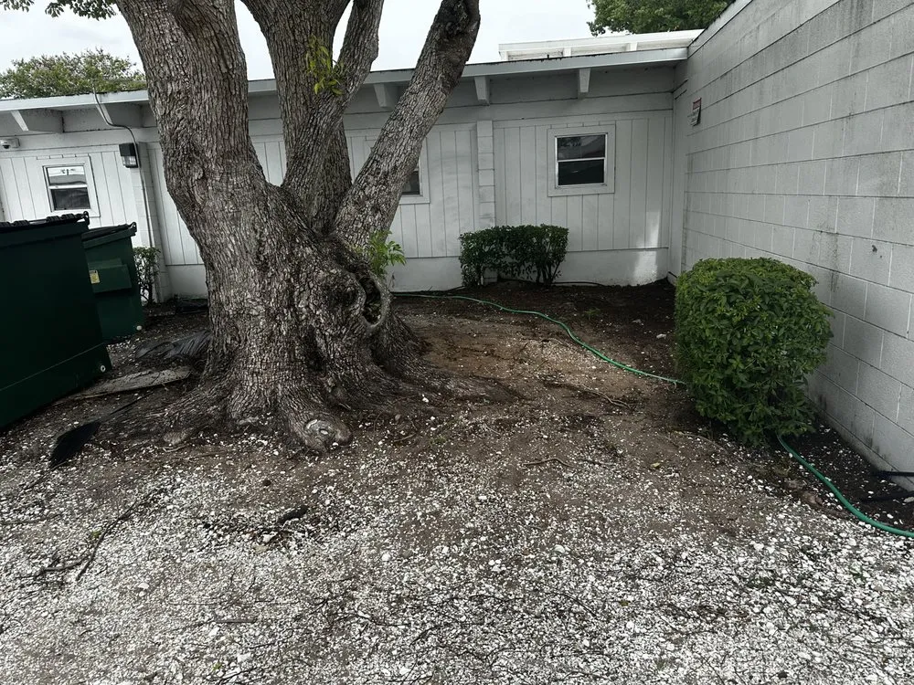 Professional lawn care service in Tampa, FL by Economy Landscaping