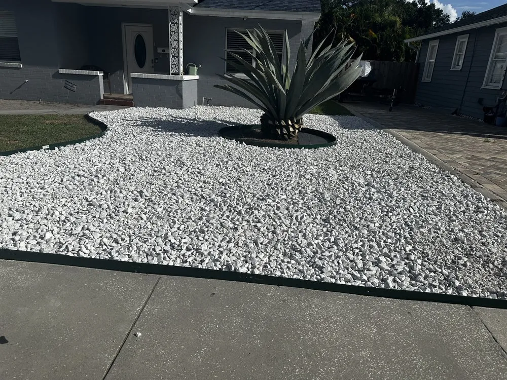 Affordable lawn care service near you in Tampa, FL by Economy Landscaping