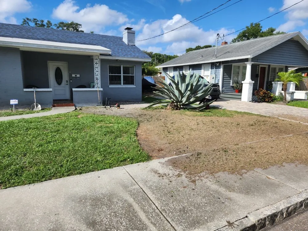 Professional residential landscaping in Tampa, FL by Economy Landscaping