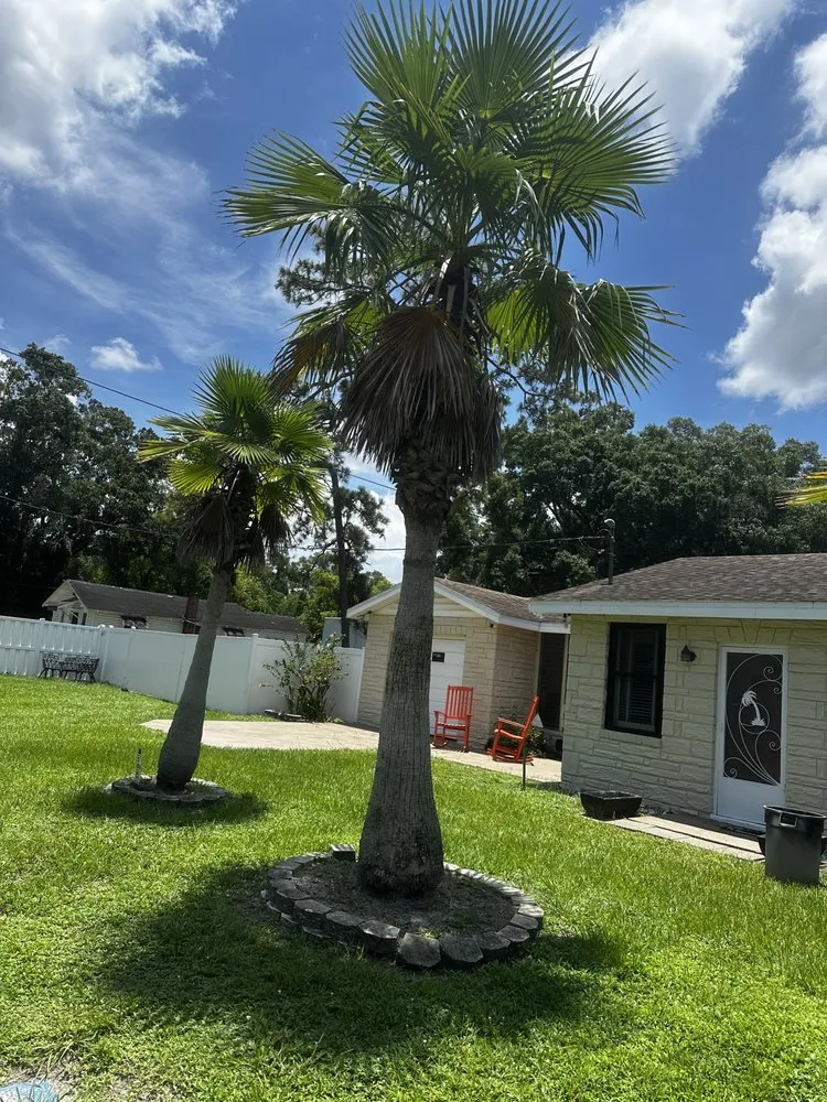 Expert landscape design experts serving Tampa, FL - Economy Landscaping