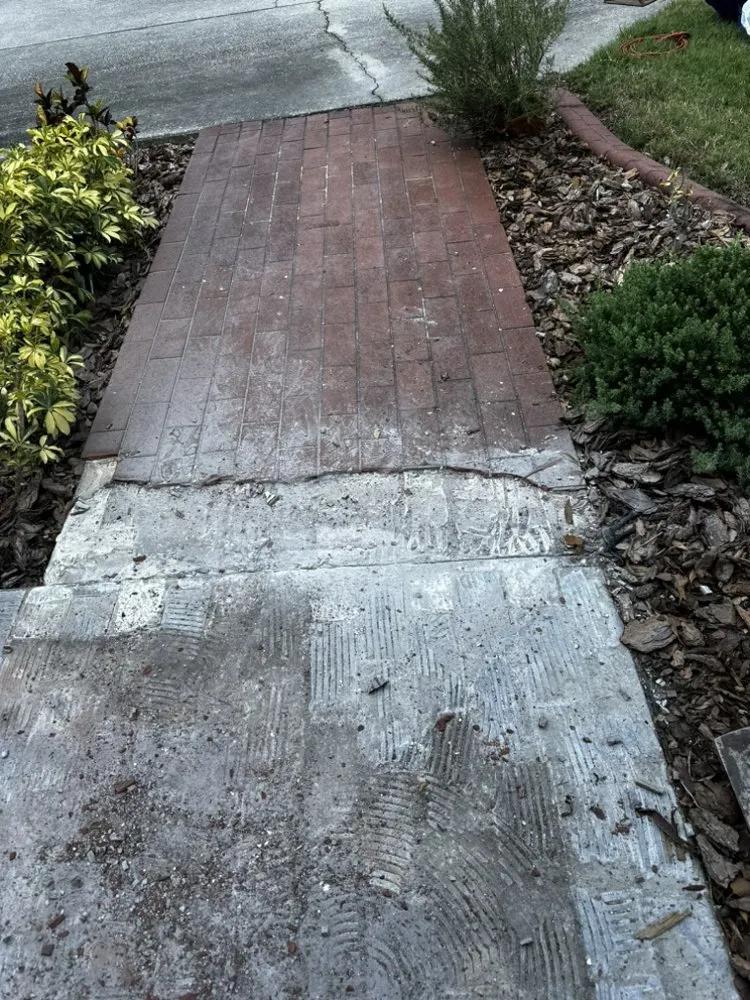 Expert residential landscaping with custom design across Tampa, FL - Economy Landscaping