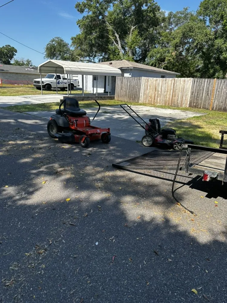 Top-rated residential landscaping near you in Tampa, FL by Economy Landscaping