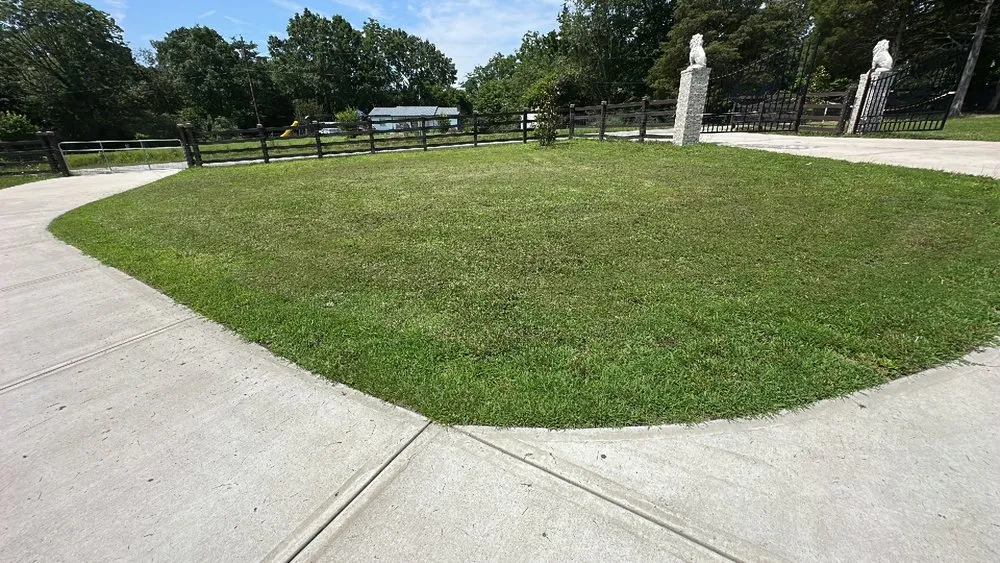 Trusted yard cleanup service in Cleveland, TN by Economy Lawn Services