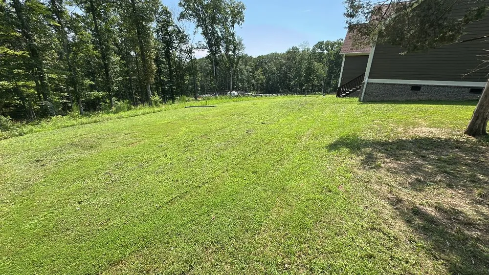 Expert landscaping services in Cleveland, TN by Economy Lawn Services