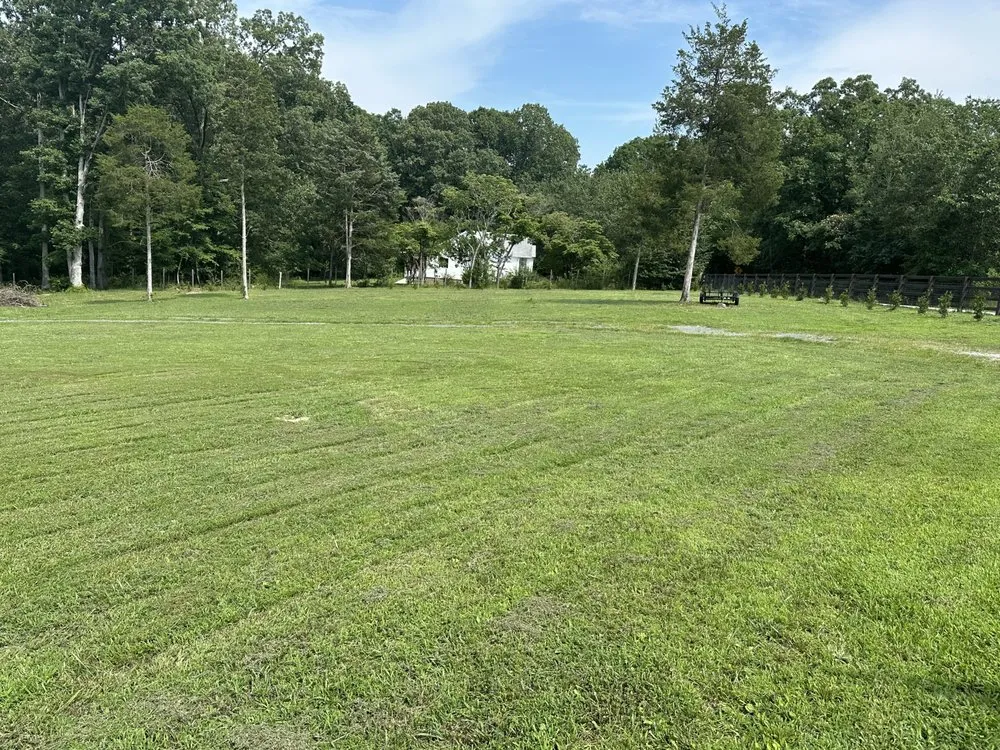 Trusted yard cleanup service in Cleveland, TN by Economy Lawn Services