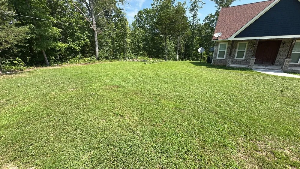 Expert landscape design in Cleveland, TN by Economy Lawn Services