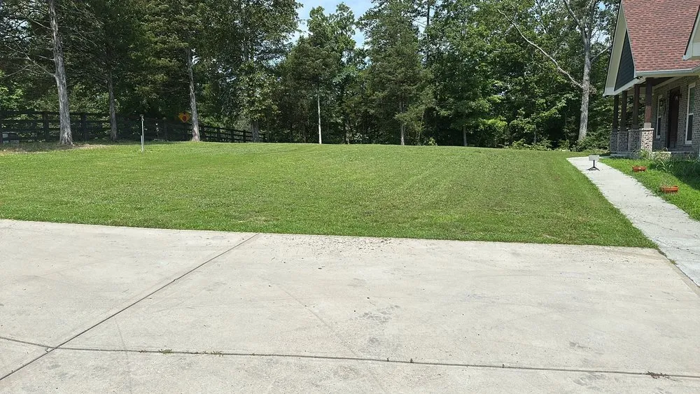 Trusted garden landscaping for beautiful yards across Cleveland, TN - Economy Lawn Services