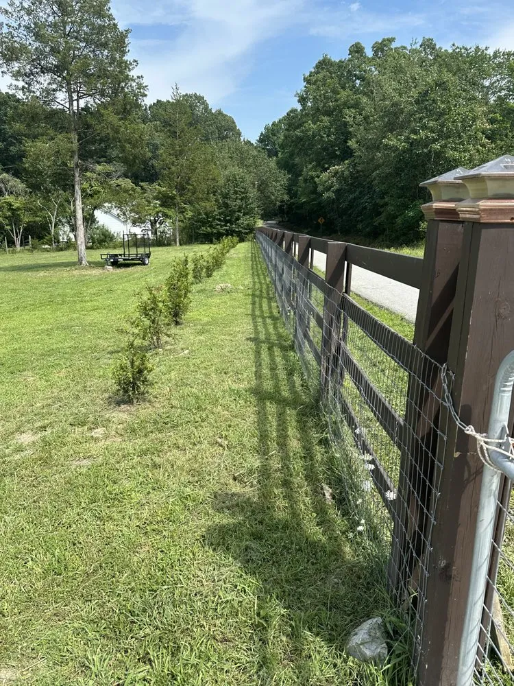 Affordable yard cleanup service for homes in Cleveland, TN by Economy Lawn Services