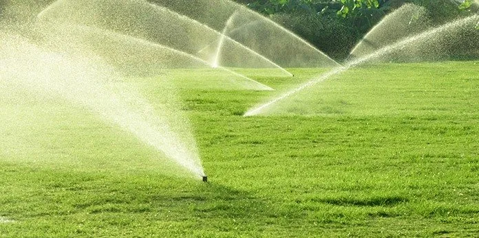 Professional yard cleanup service near you in Auburn, MA by Economy Lawn Sprinkler
