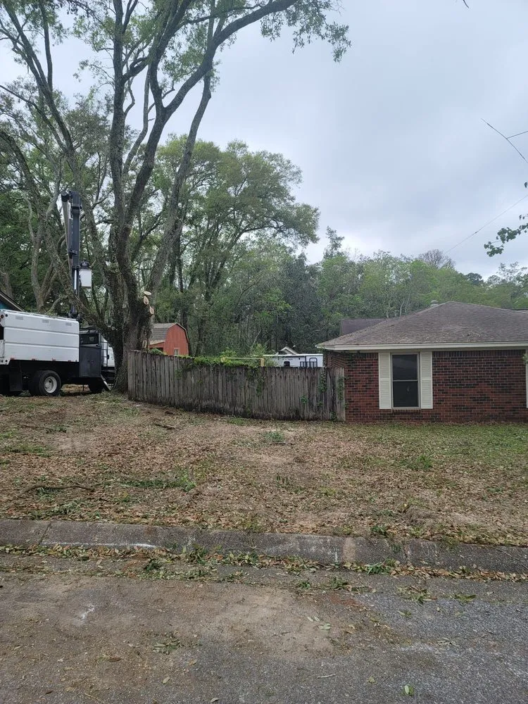 Trusted lawn care service in Pensacola, FL - Economy Tree Service