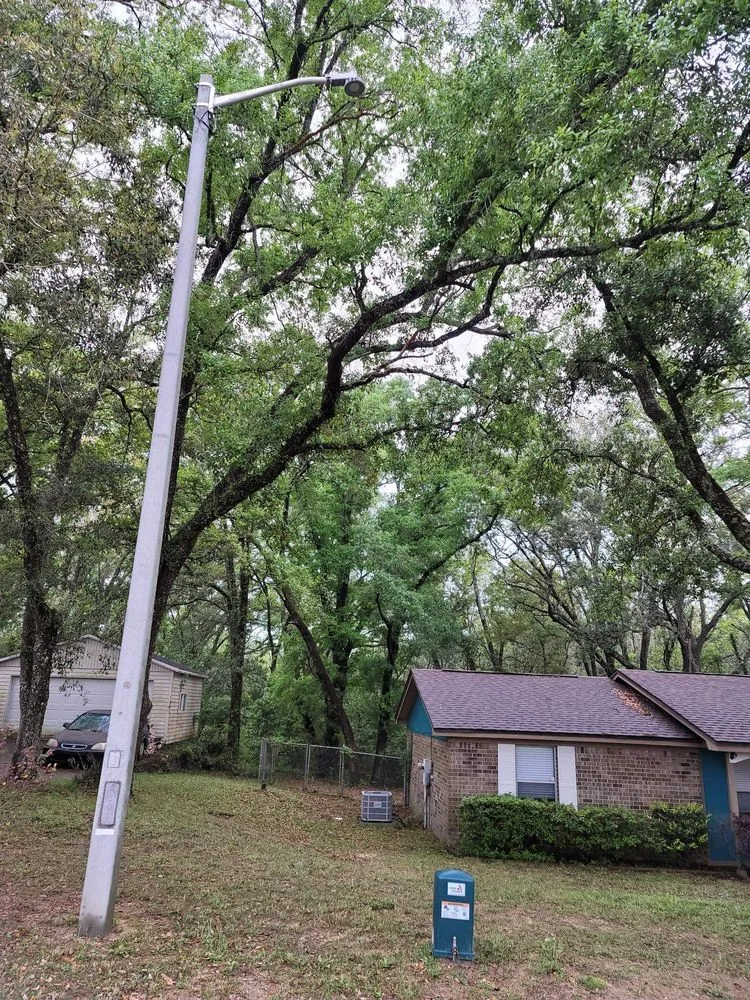 Expert lawn care service experts serving Pensacola, FL - Economy Tree Service