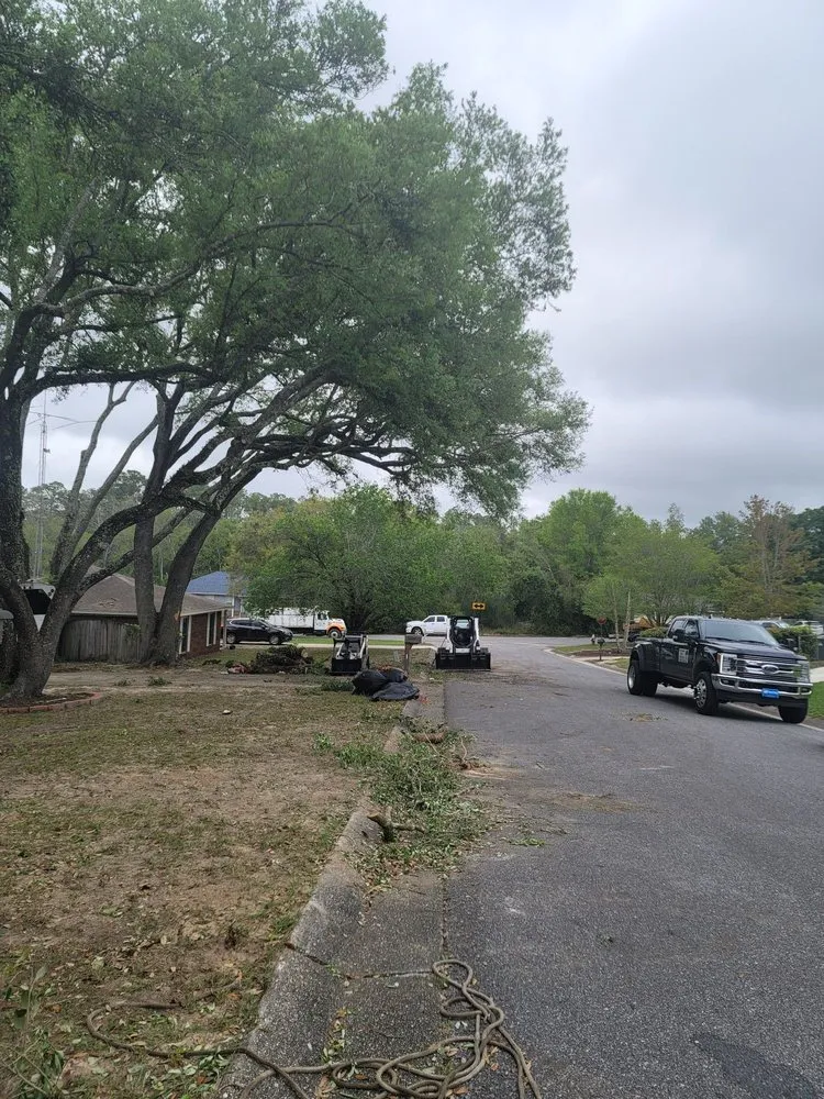 Trusted lawn care service for residential properties across Pensacola, FL - Economy Tree Service