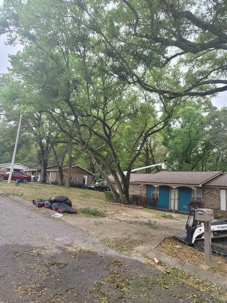 Expert landscape design in Pensacola, FL - Economy Tree Service