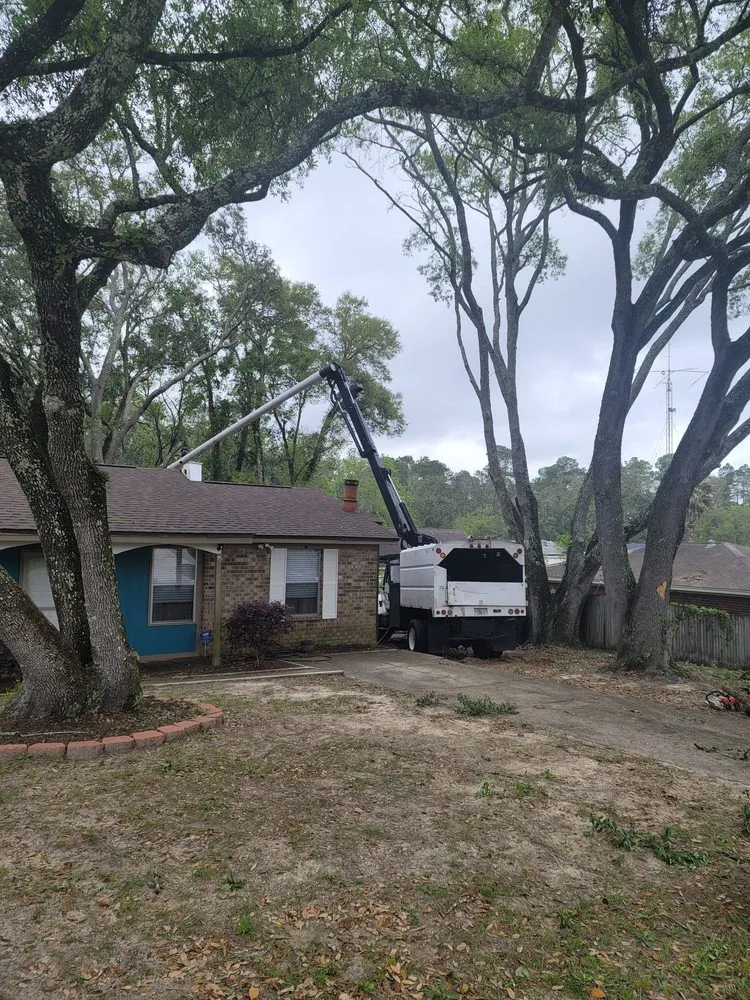 Local landscape installation in Pensacola, FL by Economy Tree Service