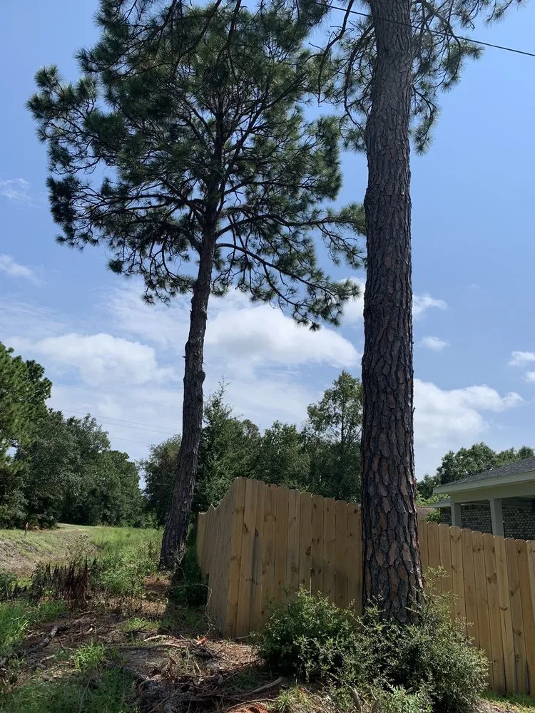 Expert landscaping services experts serving Pensacola, FL - Economy Tree Service