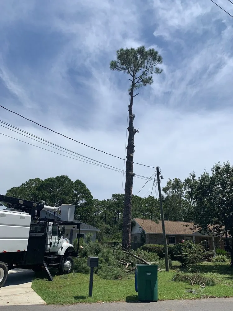 Trusted yard maintenance experts serving Pensacola, FL - Economy Tree Service