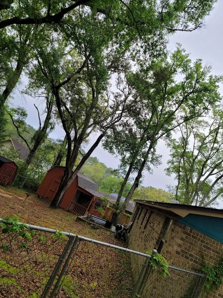 Reliable garden landscaping for year-round maintenance in Pensacola, FL by Economy Tree Service