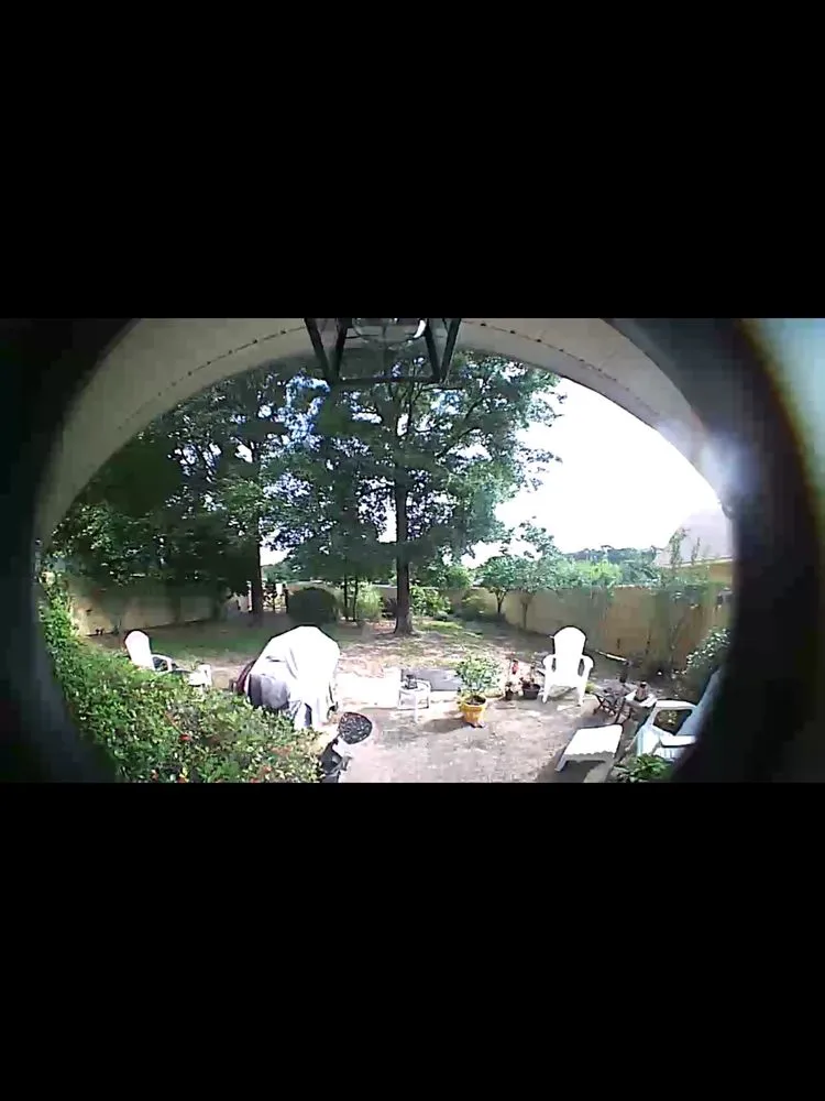 Top-rated landscape installation in Pensacola, FL by Economy Tree Service